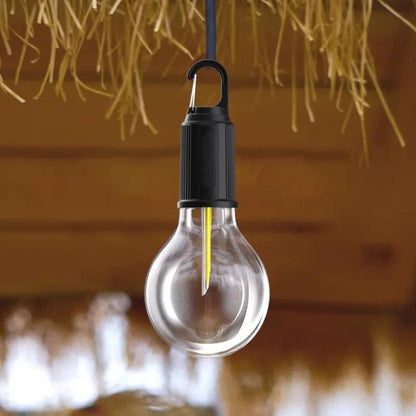 Decorative Hanging Bulb